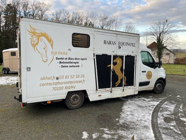 Furgoneta para caballos Renault Master  2018 De segunda mano