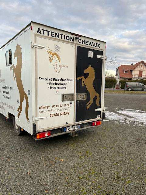 Furgoneta para caballos Renault Master  2018 De segunda mano