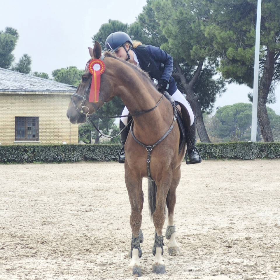 Quiero compartir mi caballo /Doma