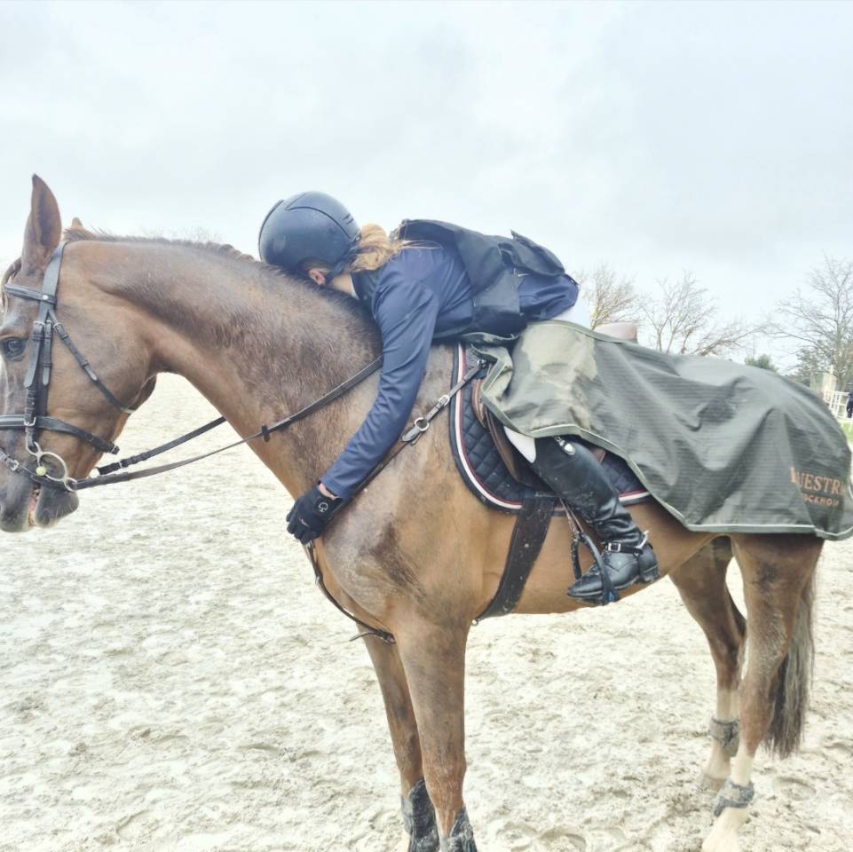 Quiero compartir mi caballo /Doma