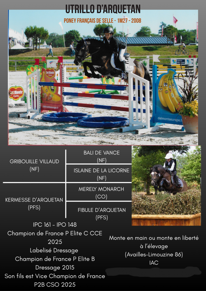 Utrillo d'Arquetan - PFS Poni Fran&ccedil;&eacute;s de Silla 2008 por Gribouille Villaud