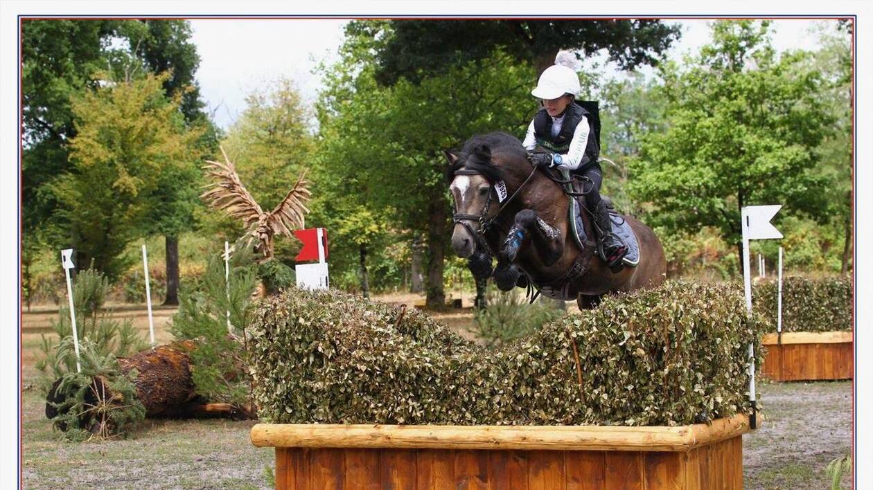 Utrillo d'Arquetan - PFS Poni Fran&ccedil;&eacute;s de Silla 2008 por Gribouille Villaud