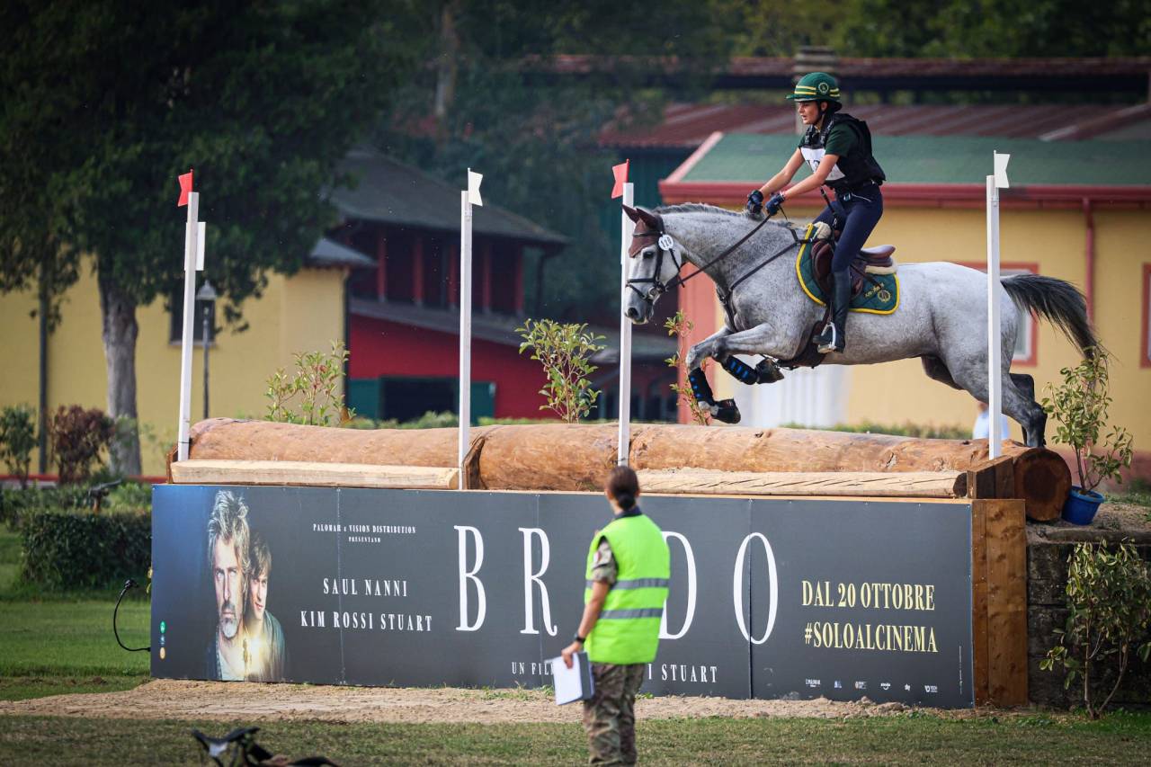 Caballo castrado Caballo de Deporte Irland&eacute;s En venta 2010 Tordo