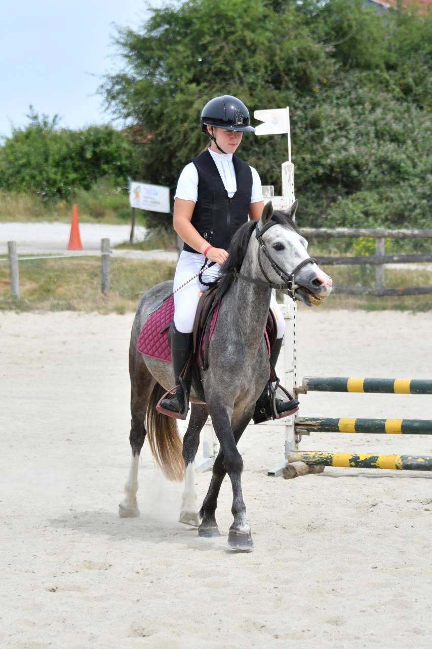 Caballo castrado PFS Poni Fran&ccedil;&eacute;s de Silla En venta 2022 Tordo por RABOLIOT D'ARQUETAN