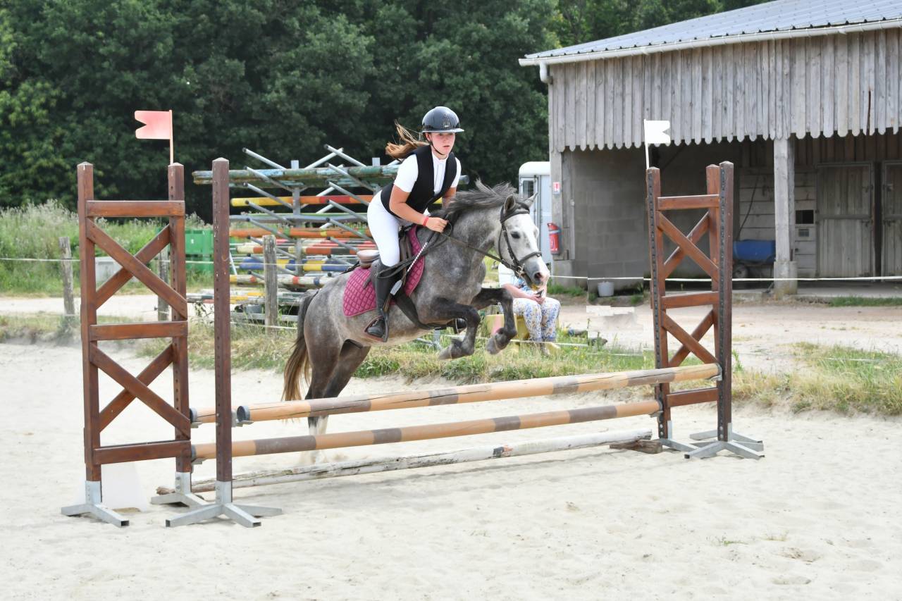 Caballo castrado PFS Poni Fran&ccedil;&eacute;s de Silla En venta 2022 Tordo por RABOLIOT D'ARQUETAN
