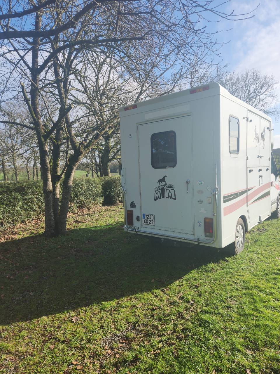 Furgoneta para caballos Renault Master 2000 De segunda mano