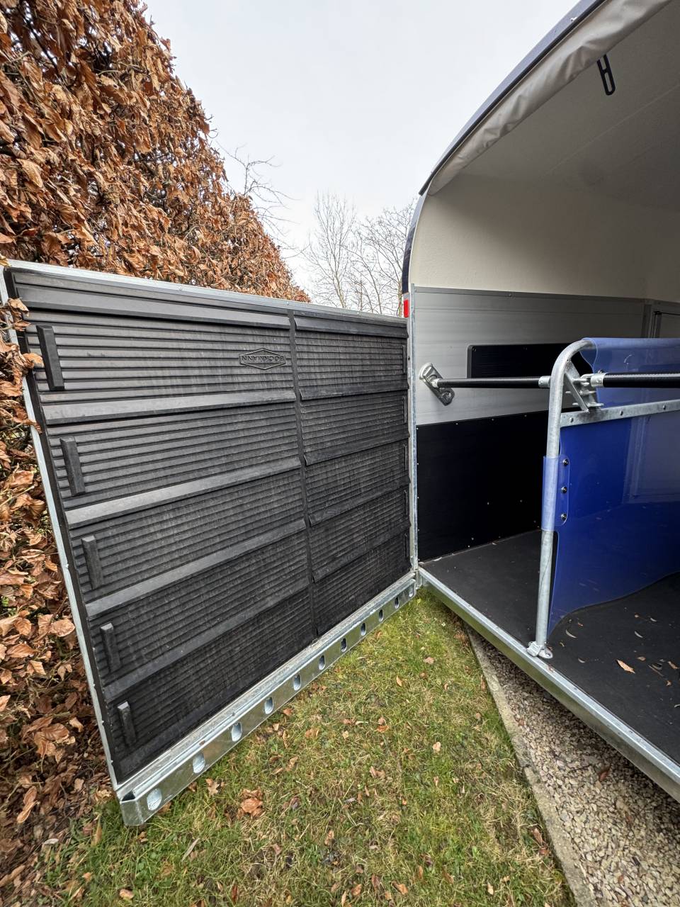 Van caballos Bockmann BIG CHAMPION E 2 Caballos 2025 Nuevo