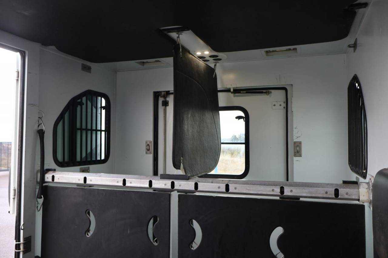 Furgoneta para caballos Theault THEAULT PROTEO 3.0 180CH 2015 De segunda mano