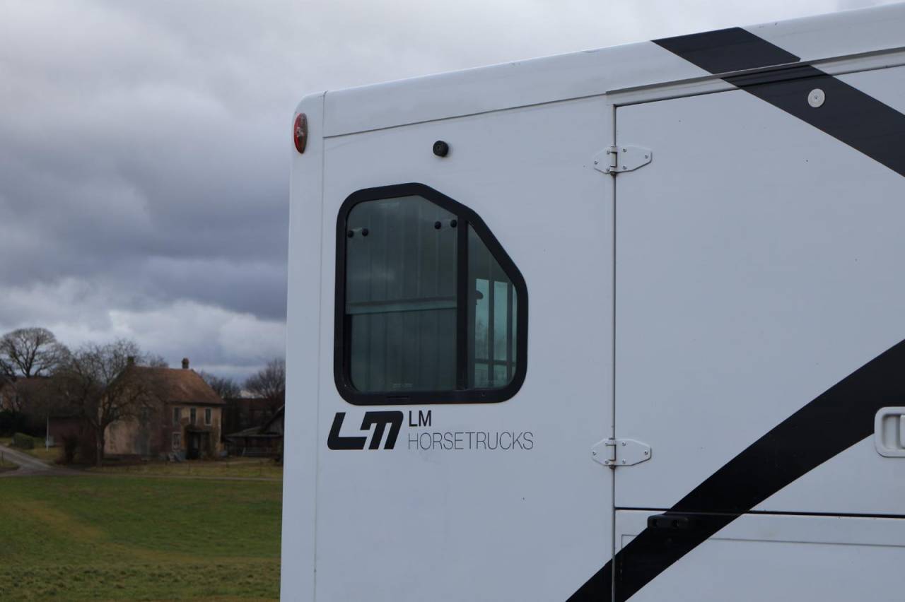 Furgoneta para caballos Theault THEAULT PROTEO 3.0 180CH 2015 De segunda mano