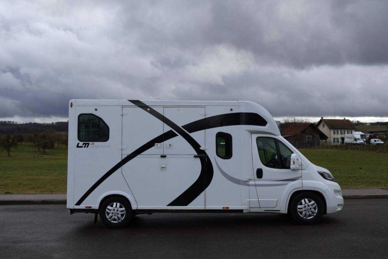 Furgoneta para caballos Theault THEAULT PROTEO 3.0 180CH 2015 De segunda mano