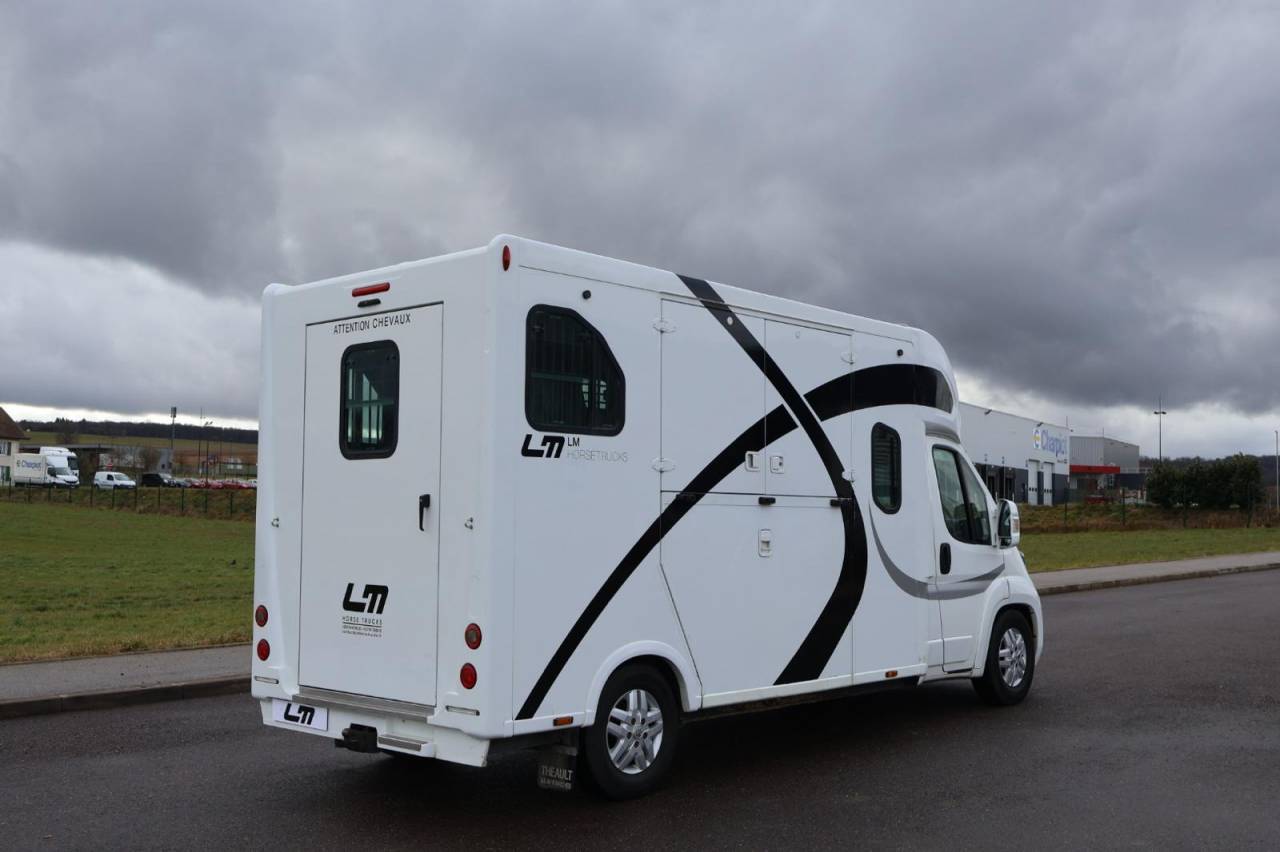 Furgoneta para caballos Theault THEAULT PROTEO 3.0 180CH 2015 De segunda mano