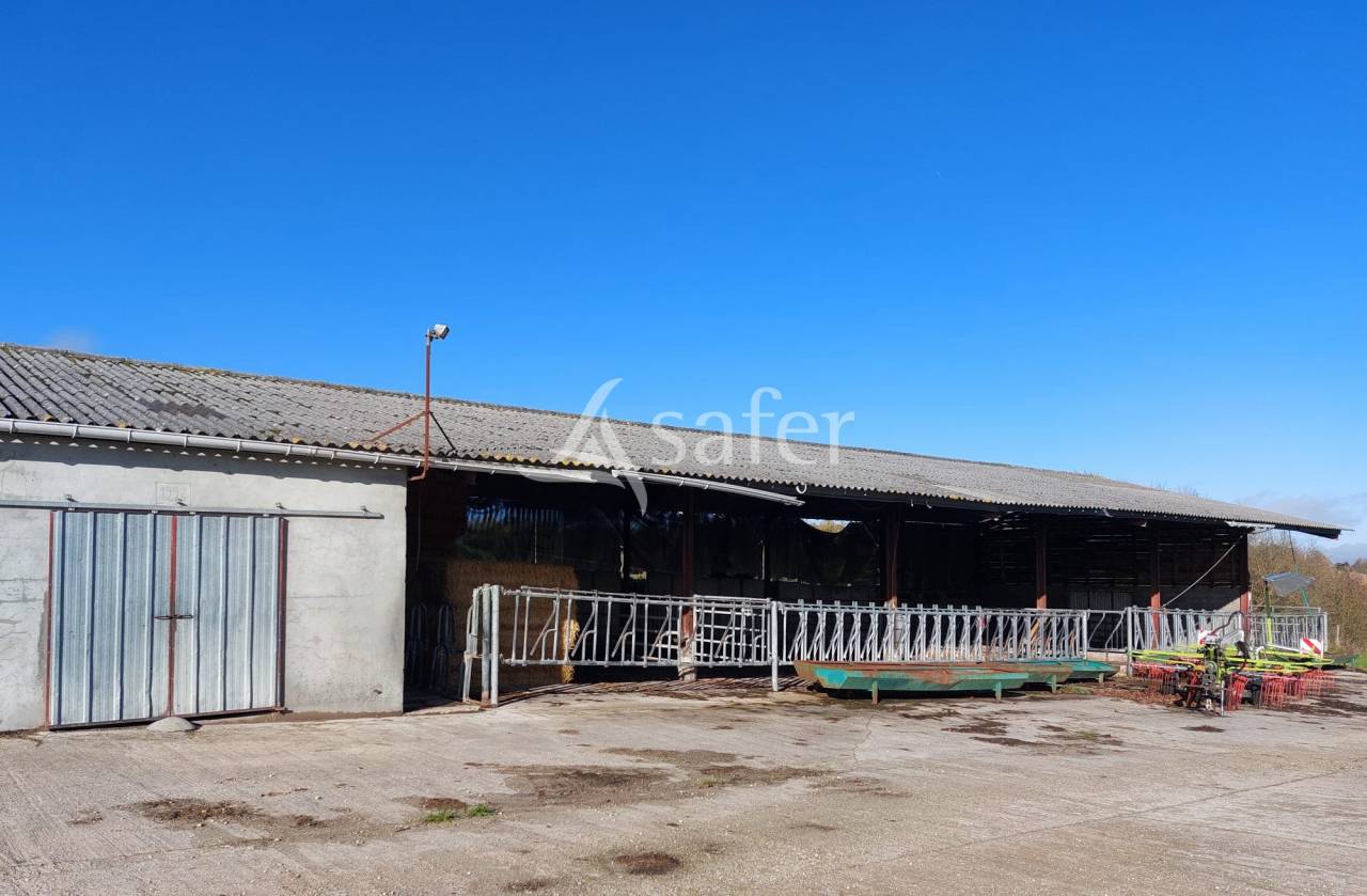 Explotaci&oacute;n ovina En venta Dordo&ntilde;a