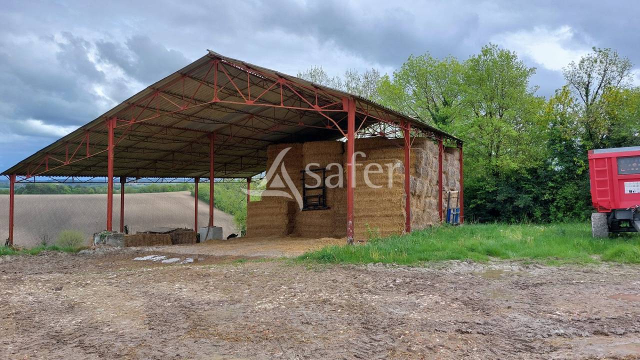 Explotaci&oacute;n ovina En venta Dordo&ntilde;a