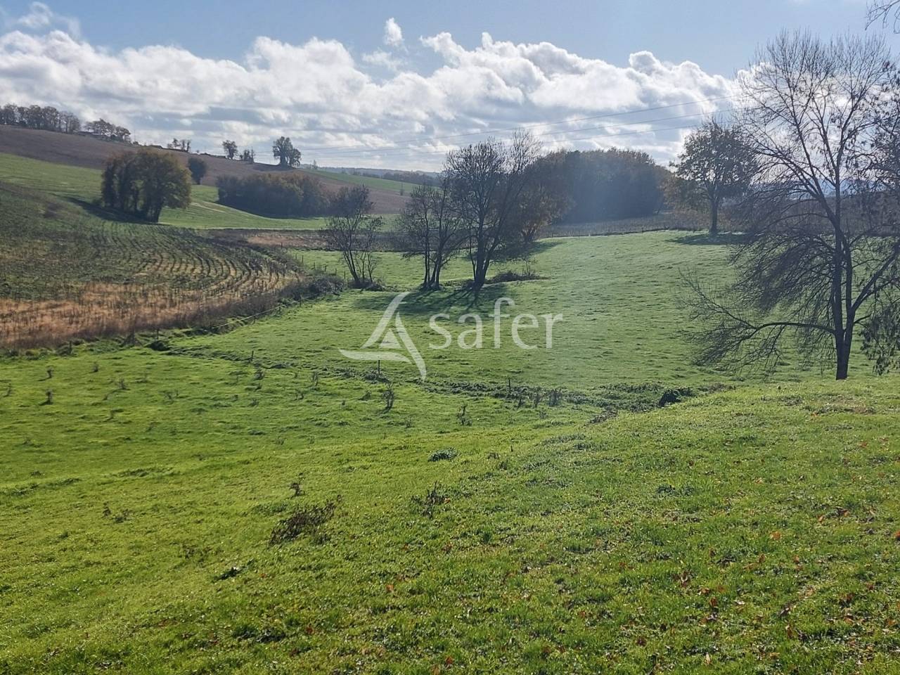 Explotaci&oacute;n ovina En venta Dordo&ntilde;a