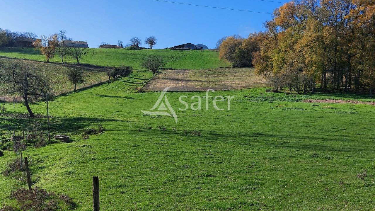 Explotaci&oacute;n ovina En venta Dordo&ntilde;a