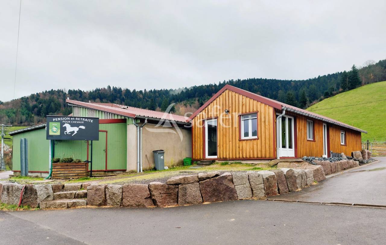 Propiedad ecuestre En venta Vosgos