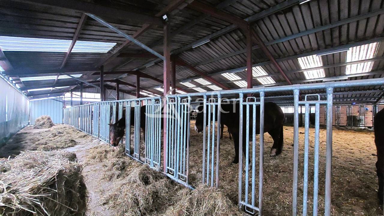 Propiedad ecuestre En venta Vosgos