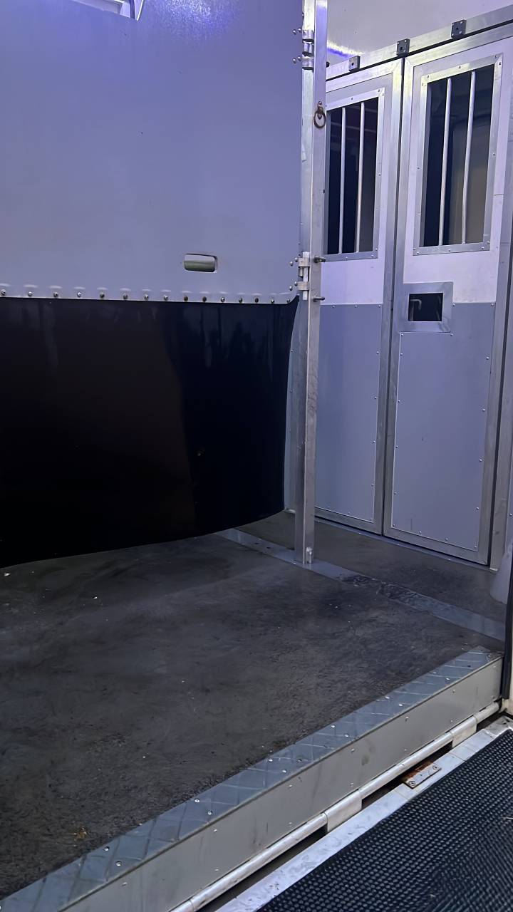 Renault Master para 2 caballos &ndash; A&ntilde;o 2020 &ndash; Lista para 