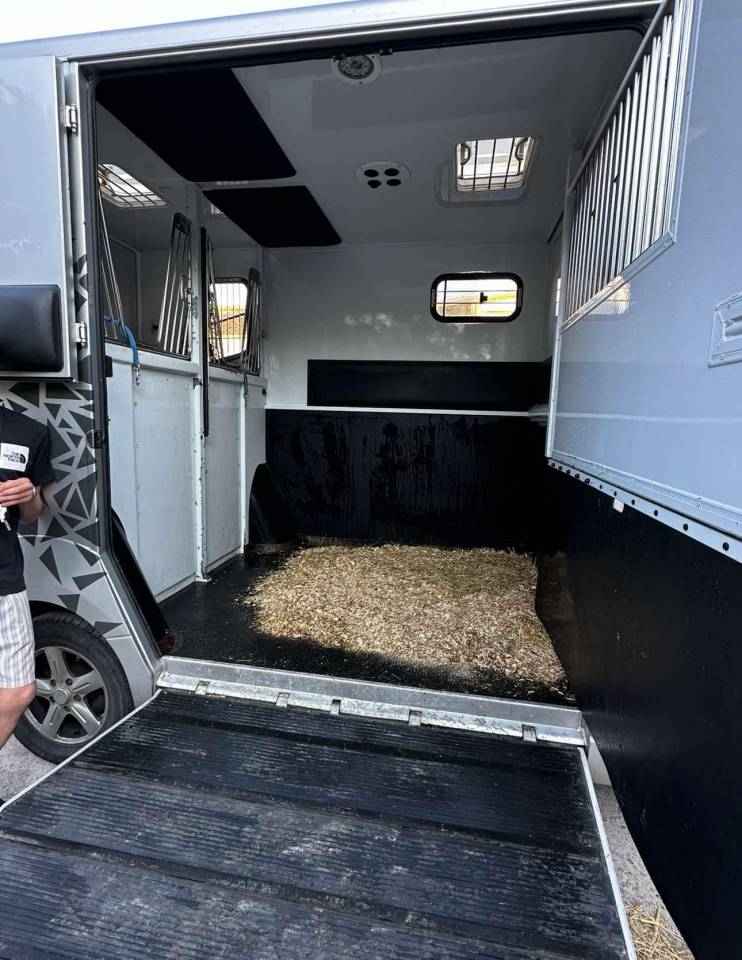 Furgoneta para caballos Renault Renault Master  2011 De segunda mano