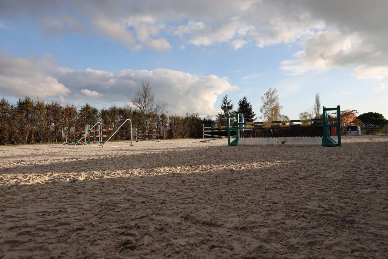 Acaballadero En venta Saona y Loira