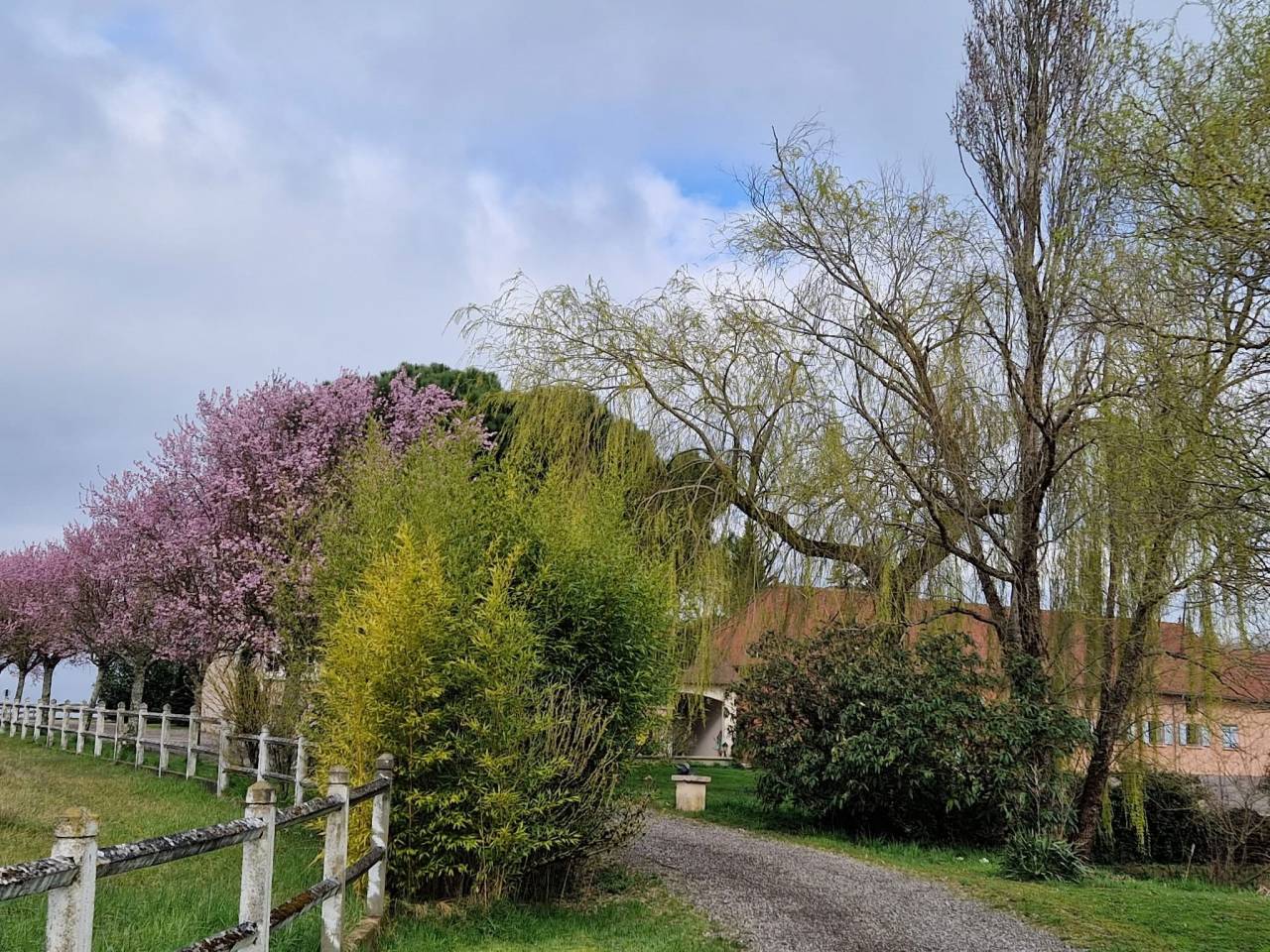 Acaballadero En venta Saona y Loira