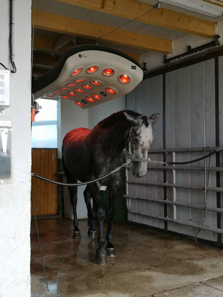 Acaballadero En venta Saona y Loira