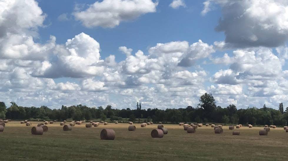 Acaballadero En venta Saona y Loira