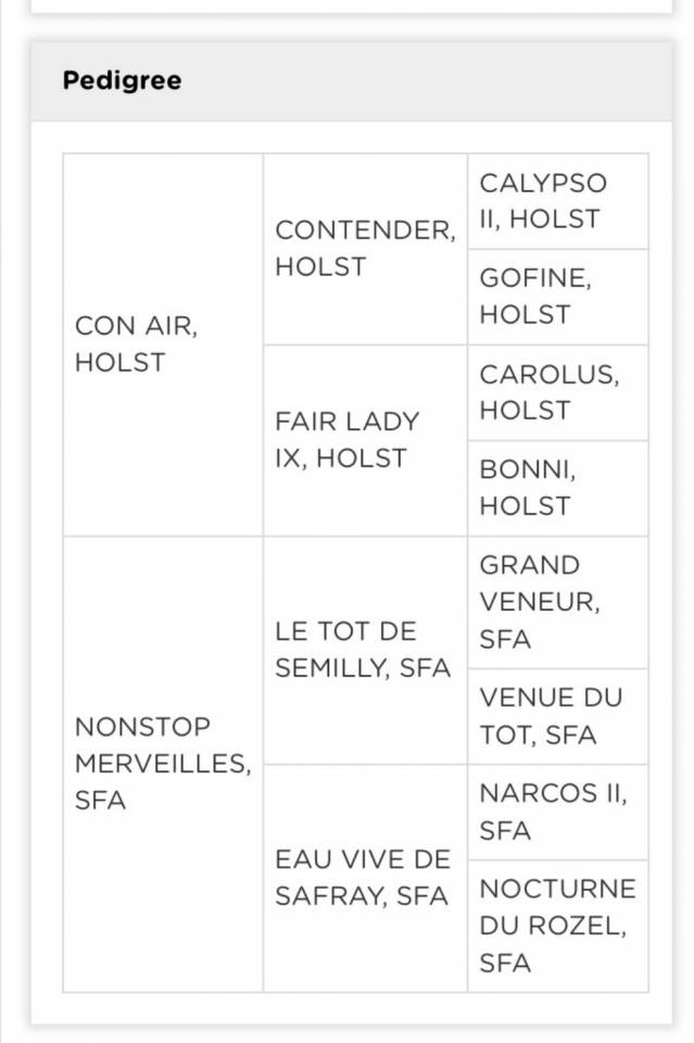 Yegua Silla Franc&eacute;s En venta 2014 Bayo por CON AIR