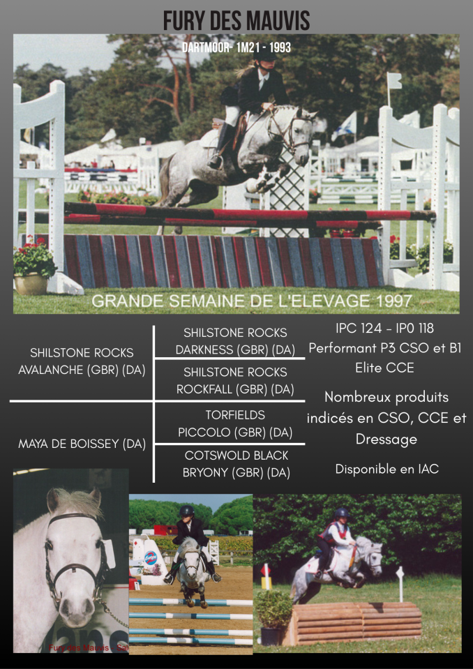 Fury des Mauvis - Dartmoor 1993 por SHILSTONE ROCKS AVALANCHE (GBR)