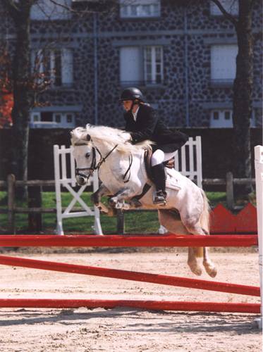 Fury des Mauvis - Dartmoor 1993 por SHILSTONE ROCKS AVALANCHE (GBR)