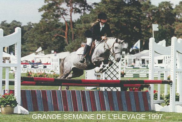 Fury des Mauvis - Dartmoor 1993 por SHILSTONE ROCKS AVALANCHE (GBR)