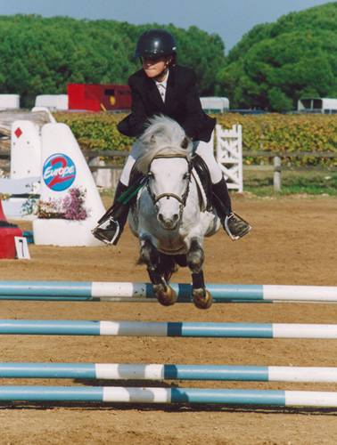 Fury des Mauvis - Dartmoor 1993 por SHILSTONE ROCKS AVALANCHE (GBR)