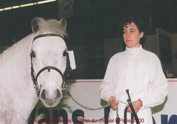 Fury des Mauvis - Dartmoor 1993 por SHILSTONE ROCKS AVALANCHE (GBR)