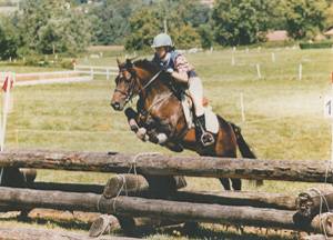 Gedeon des Mauvis - New Forest 1994 por MAYTREE SULTAN (GBR)