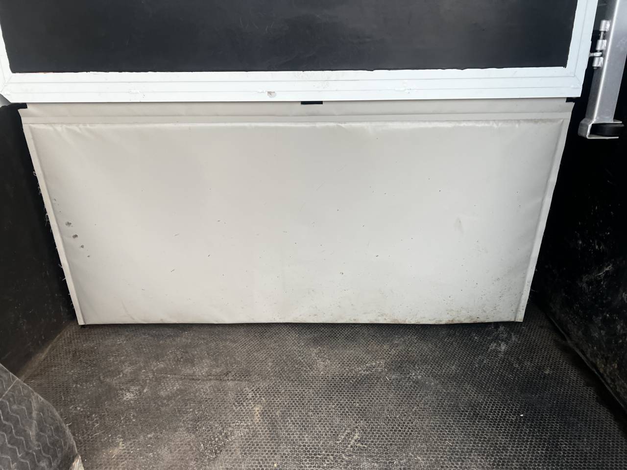 Furgoneta para caballos Fiat  Ducato 2020 Nuevo