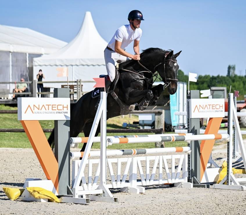 Caballo castrado Zangersheide En venta 2021 Negro por Columbus Z