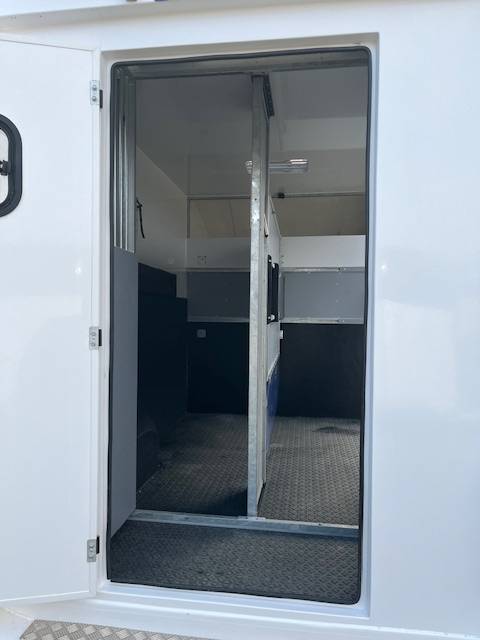 Furgoneta para caballos AP Petit Master 2021 2021 De segunda mano