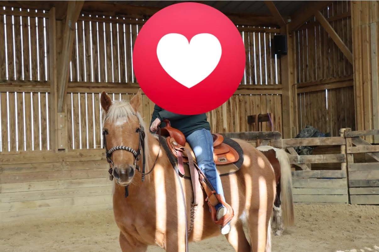 Caballo castrado Quarter Horse En venta 2020 Palomino