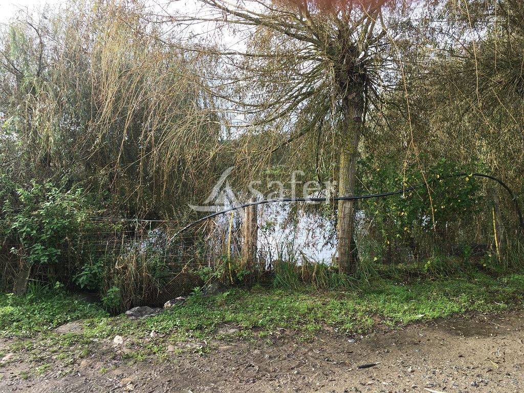 Explotaci&oacute;n ovina En venta Alto Vienne