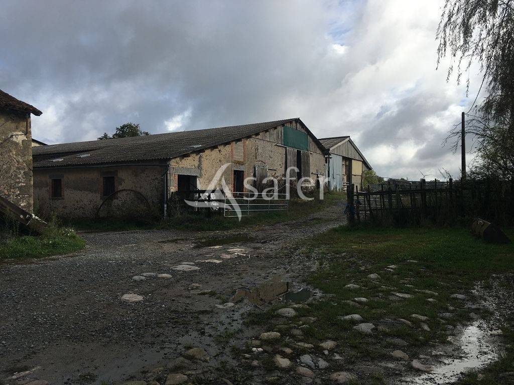 Explotaci&oacute;n ovina En venta Alto Vienne