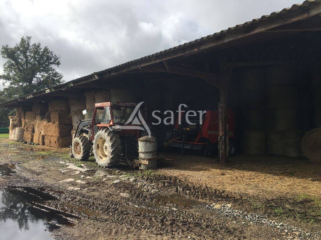 Explotaci&oacute;n ovina En venta Alto Vienne