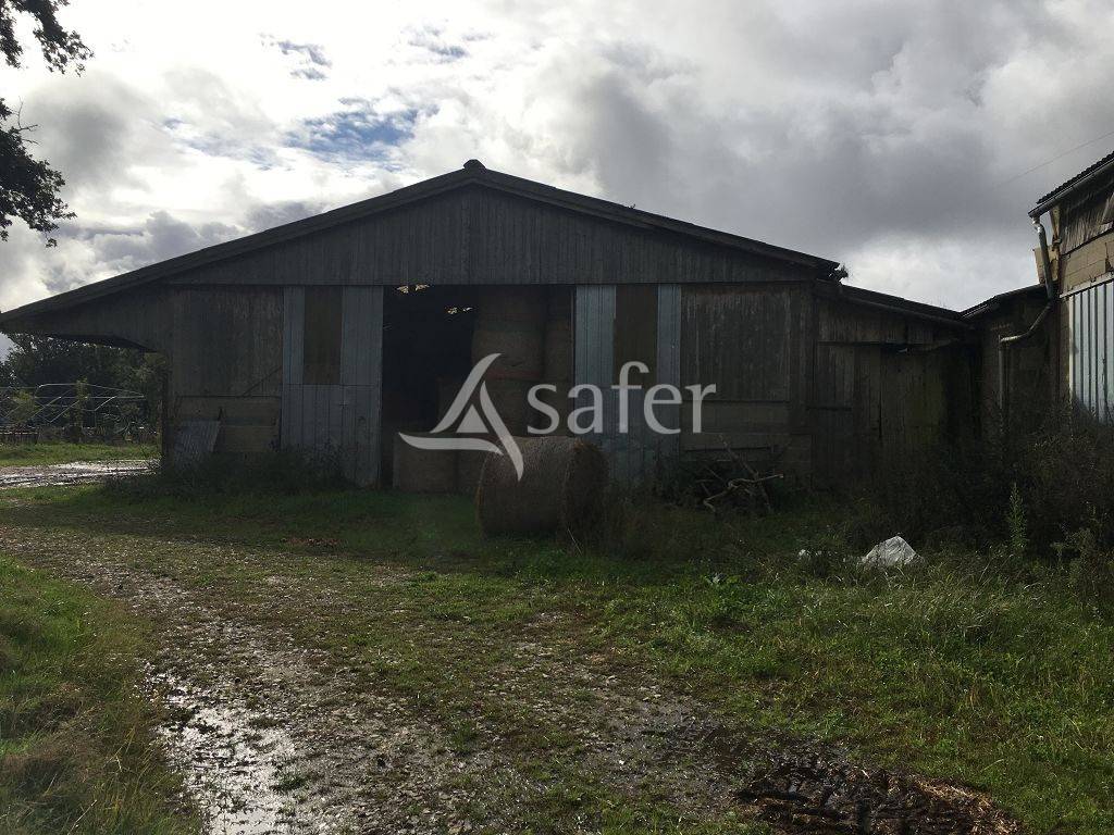 Explotaci&oacute;n ovina En venta Alto Vienne