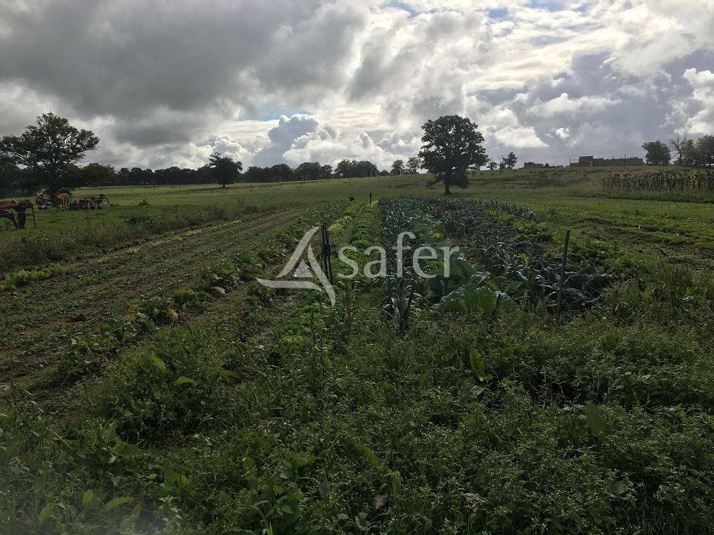 Explotaci&oacute;n ovina En venta Alto Vienne