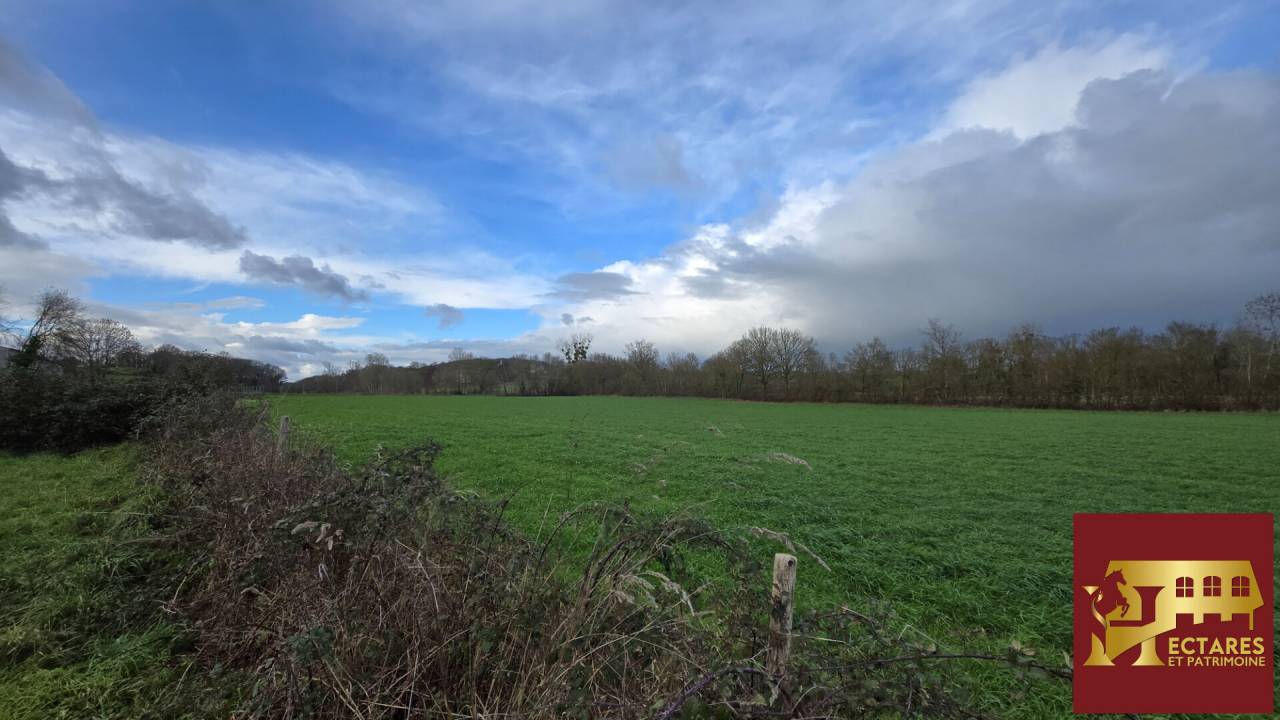 Propiedad ecuestre En venta Maine y Loira