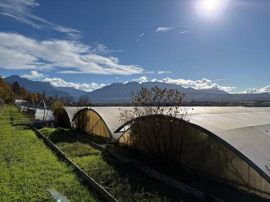 Propiedad ecuestre En venta Alta Saboya