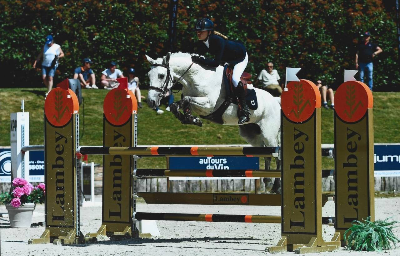 Virago d'Arquetan - PFS Poni Fran&ccedil;&eacute;s de Silla 2009 por Gribouille Villaud