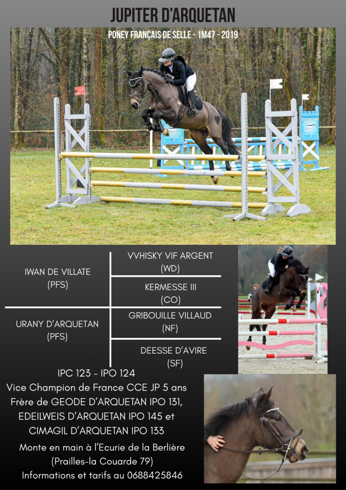 Jupiter d'Arquetan - PFS Poni Fran&ccedil;&eacute;s de Silla 2019 por IWAN DE VILLATE