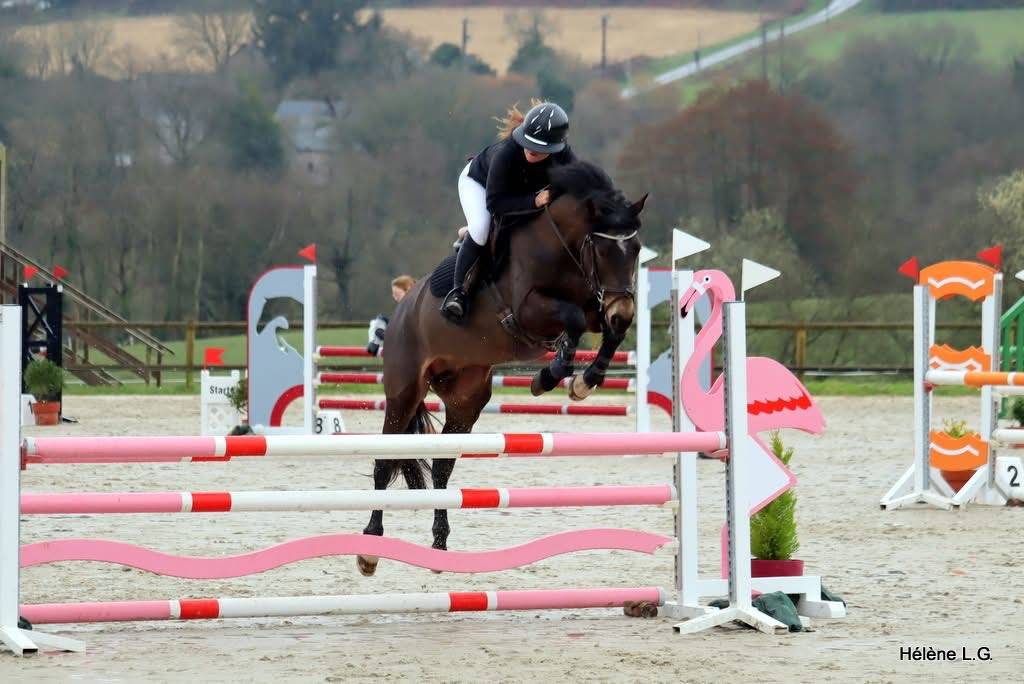 Jupiter d'Arquetan - PFS Poni Fran&ccedil;&eacute;s de Silla 2019 por IWAN DE VILLATE