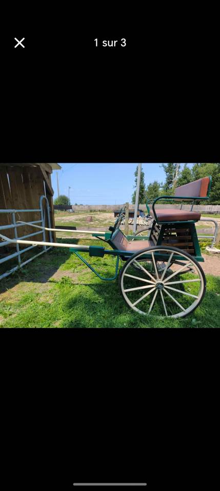 Coche enganches - Otros enganches - Otra marca - Caravoine 