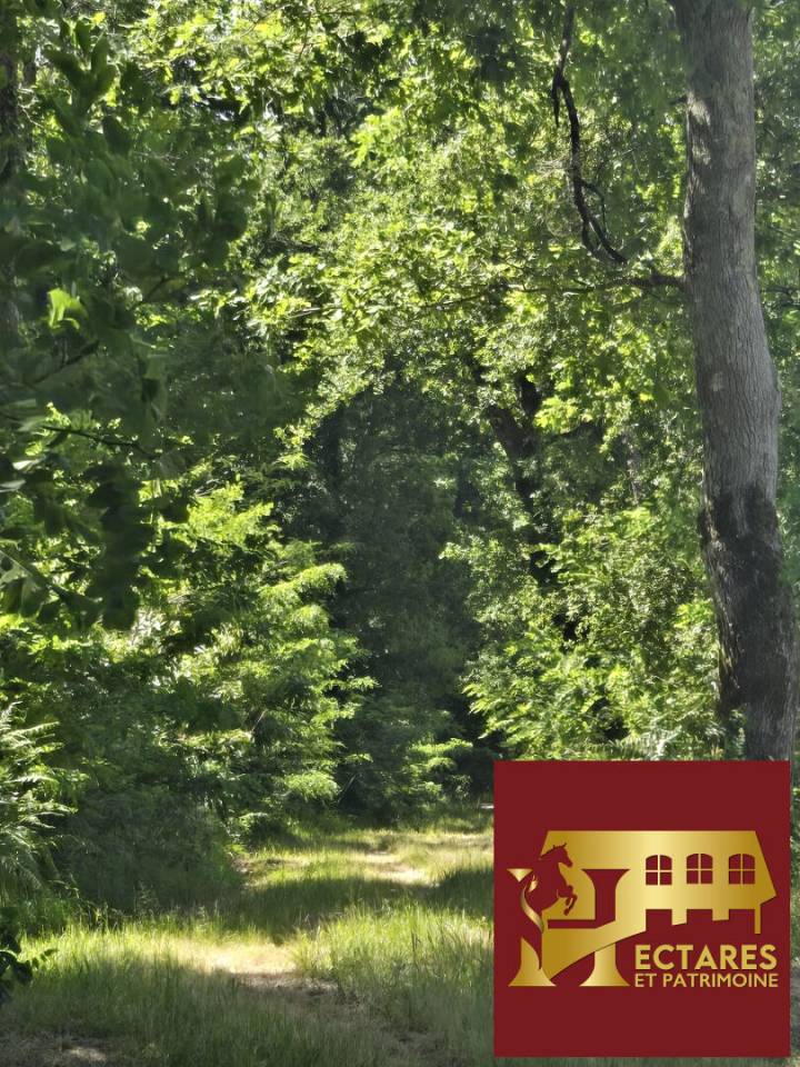 Cuadra de propietarios En venta Gironda